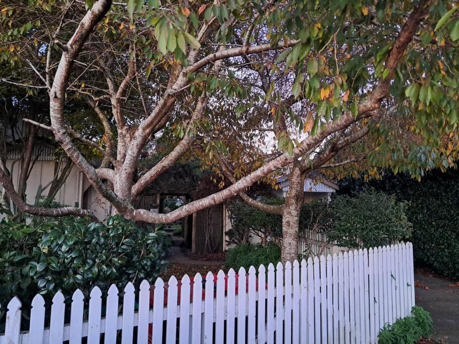 Secret Cottage Waitara Dış mekan fotoğraf