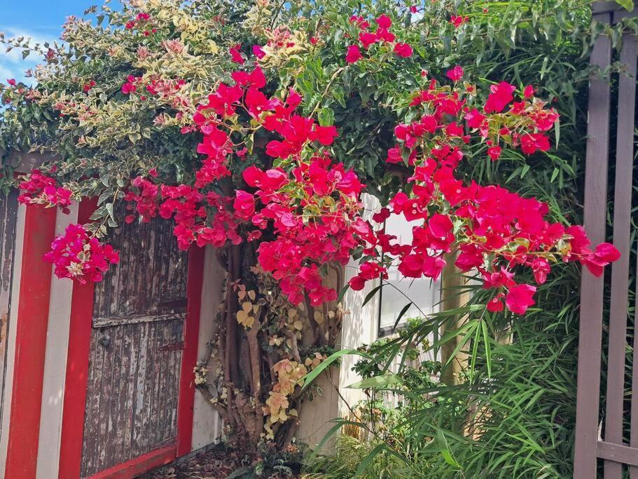 Secret Cottage Waitara Dış mekan fotoğraf